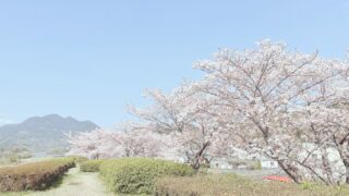 終わりを意識すると見えてくる 「いま」の過ごし方